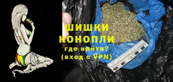 PSILOCYBIN Балахна