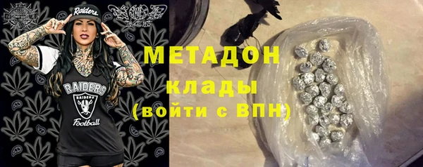 прущие грибы Няндома